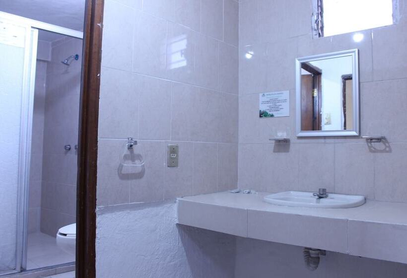 اتاق استاندارد, Plaza Aleman