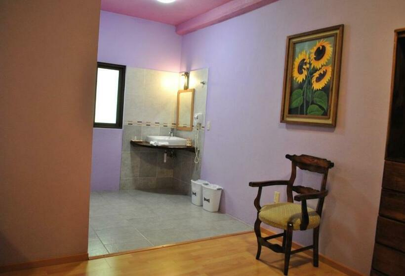 スタンダードルーム, Zaragoza