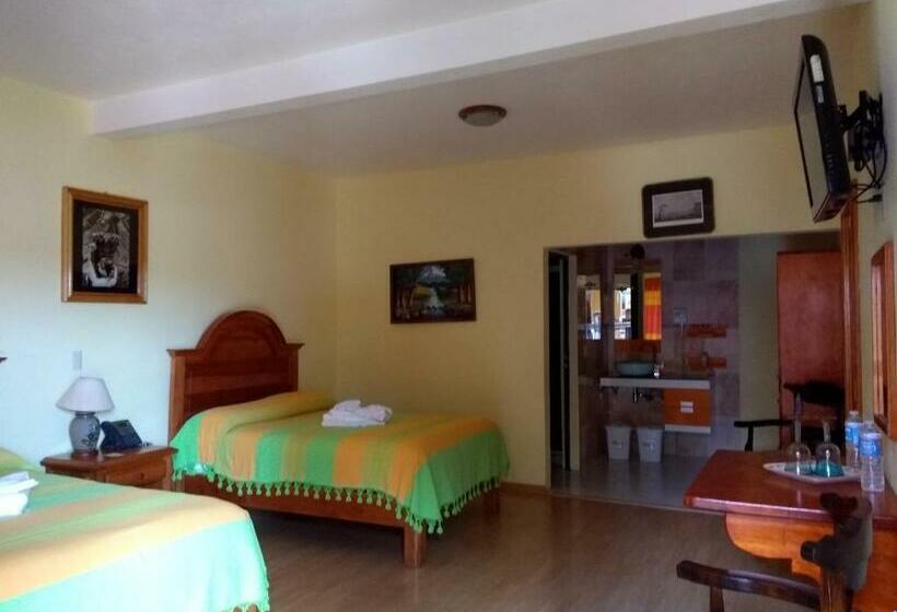 スタンダードルーム, Zaragoza