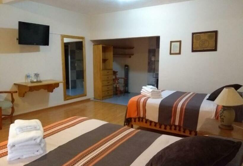 スタンダードルーム, Zaragoza