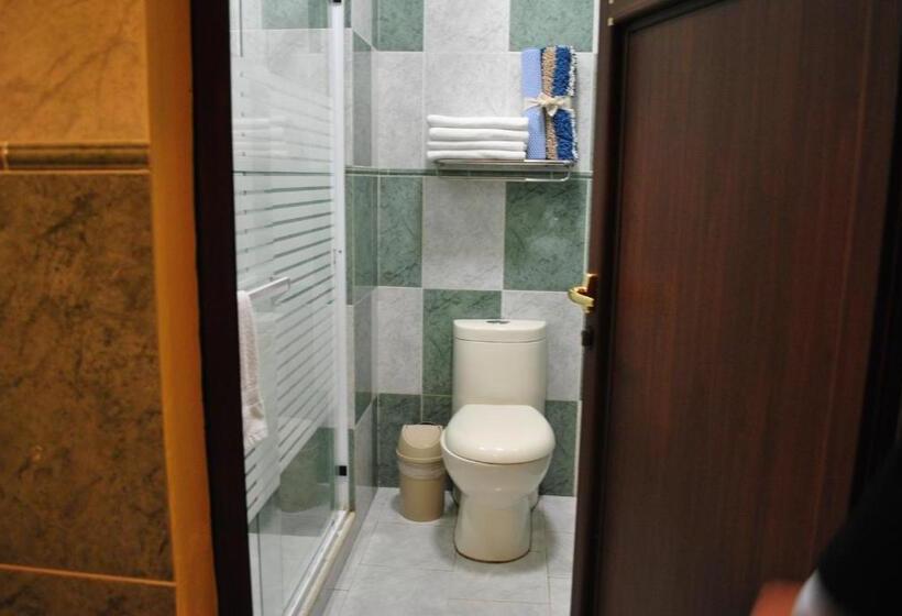 スタンダードシングルルーム, Zaragoza