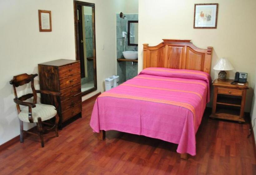 スタンダードシングルルーム, Zaragoza