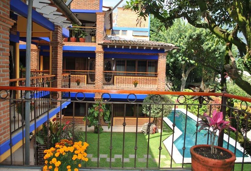 スタンダードルーム, Zaragoza