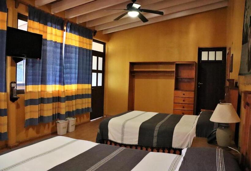 スタンダードルーム, Zaragoza