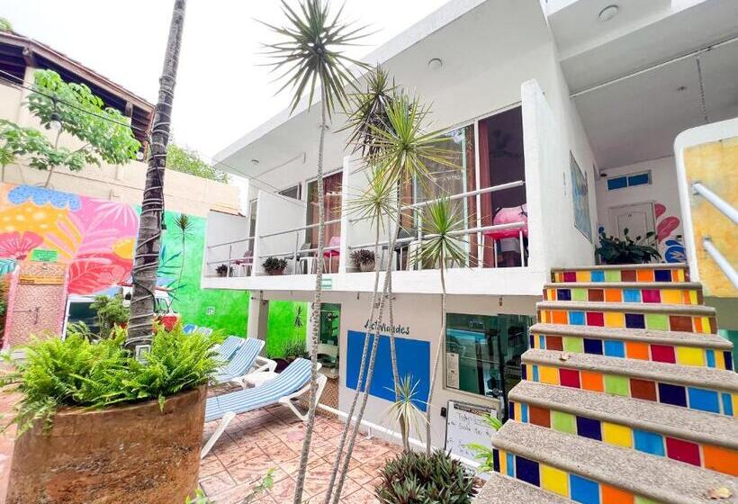 バス共有のスタンダードルーム, Ith Sayulita Amazing Surf Hostel