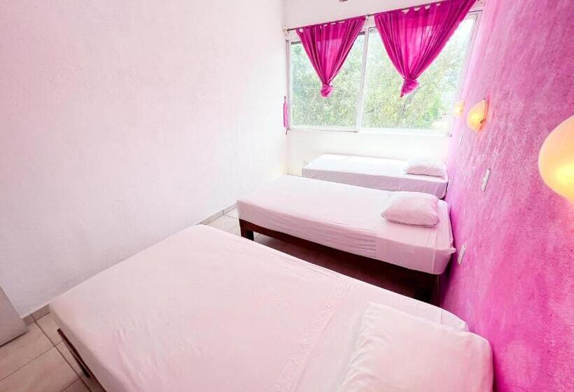 Standaard Driepersoonskamer met Gedeelde Badkamer, Ith Sayulita Amazing Surf Hostel