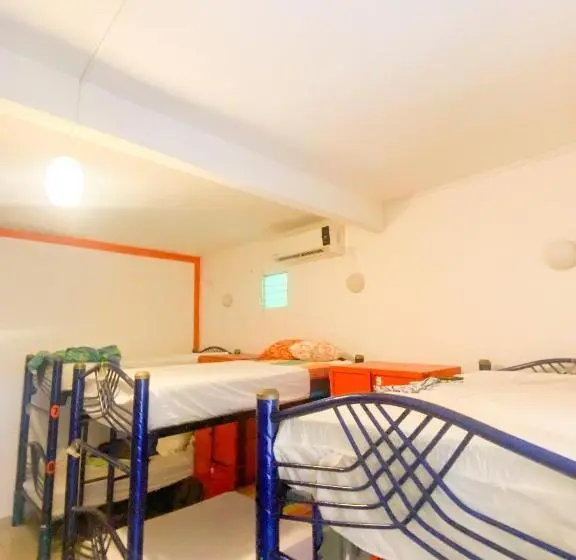 تختخواب در اتاق مشترک, Ith Sayulita Amazing Surf Hostel