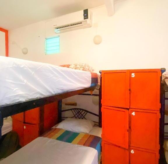 ルームシェアのワンベッド, Ith Sayulita Amazing Surf Hostel