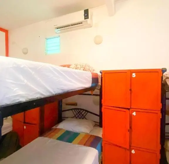تختخواب در اتاق مشترک, Ith Sayulita Amazing Surf Hostel