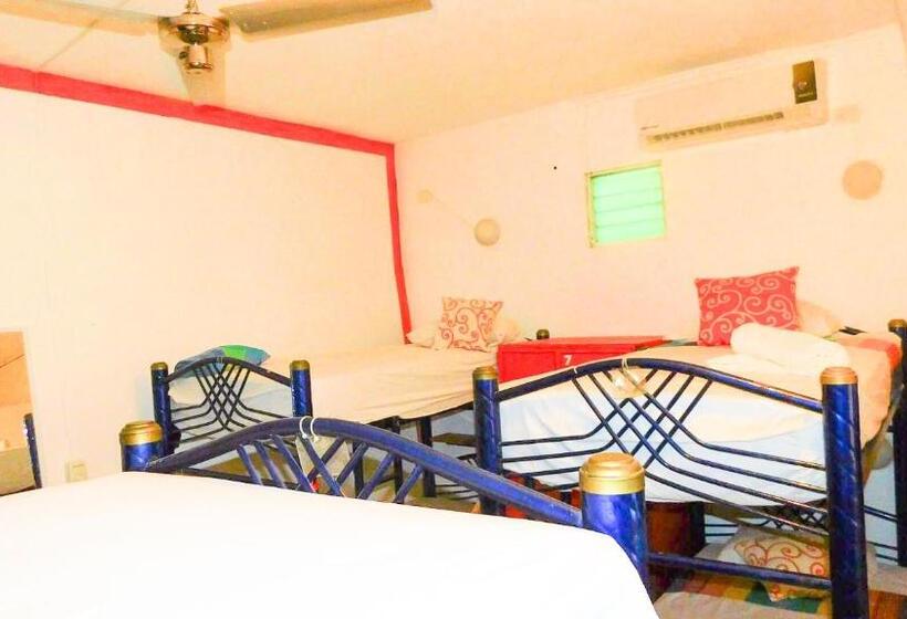 ルームシェアのワンベッド, Ith Sayulita Amazing Surf Hostel