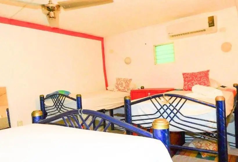 تختخواب در اتاق مشترک, Ith Sayulita Amazing Surf Hostel