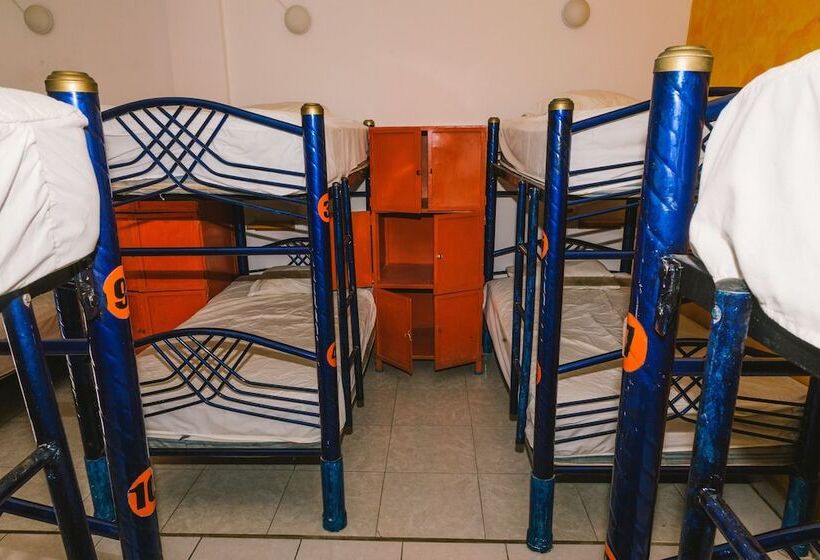 ルームシェアのワンベッド, Ith Sayulita Amazing Surf Hostel