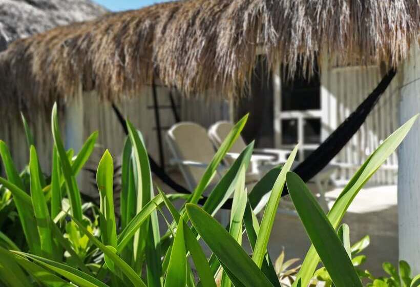 Pokój Standard Widok Ogród, Coco Tulum