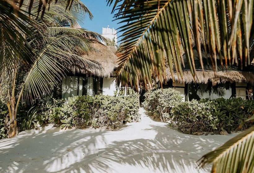 Pokój Standard Widok Morze, Coco Tulum