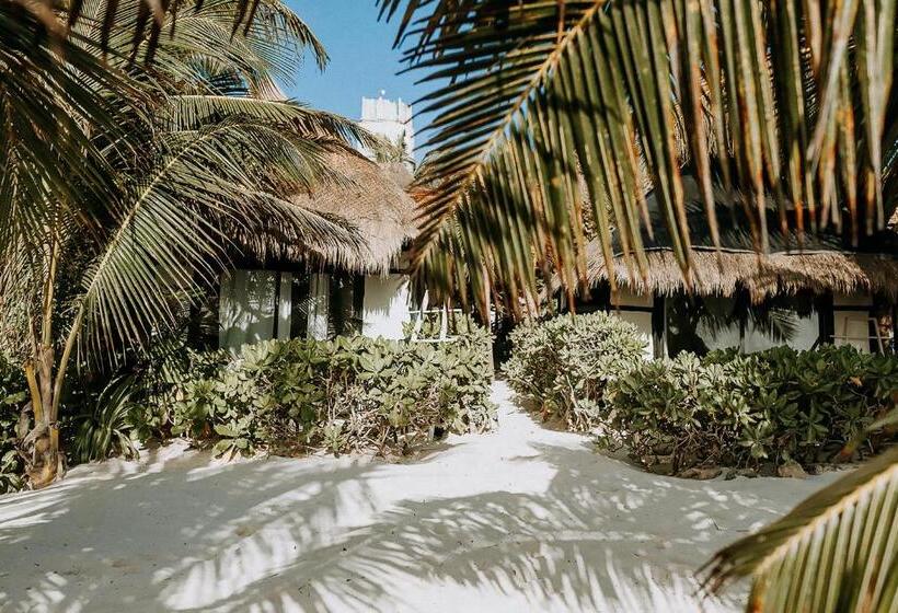 Pokój Standard Widok Morze, Coco Tulum