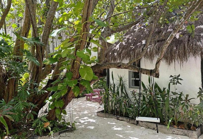 Pokój Standard Widok Ogród, Coco Tulum