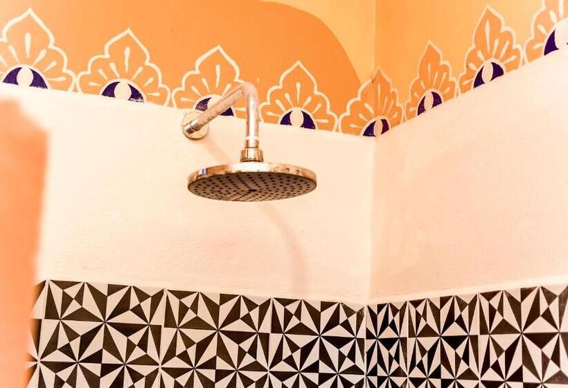 اتاق استاندارد, Tribu Hostel