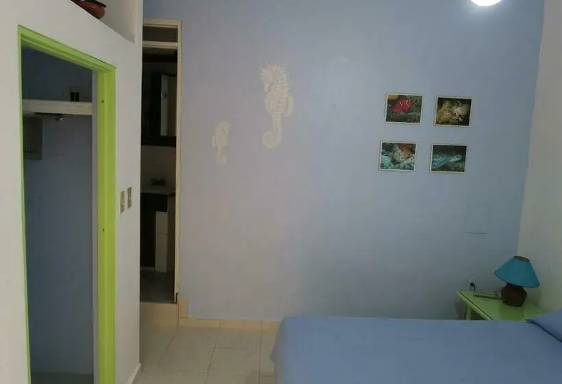 اتاق استاندارد, Eco Hotel Club Rolling Stone