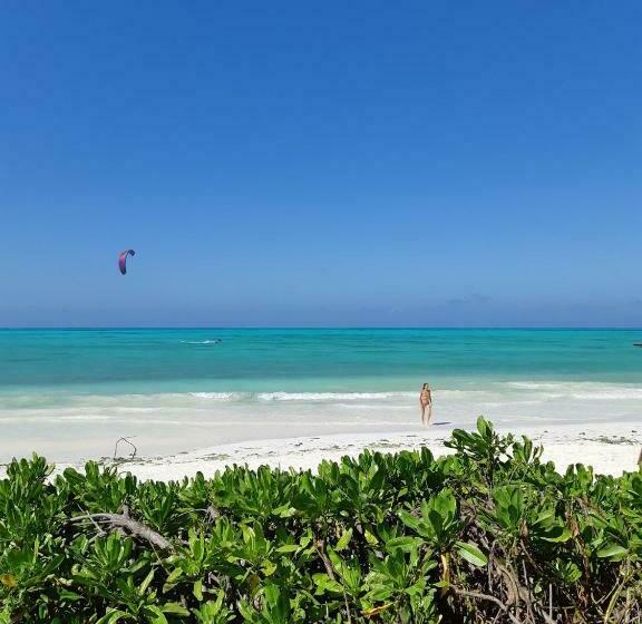 스탠다드 트리플 룸, Coco Beach