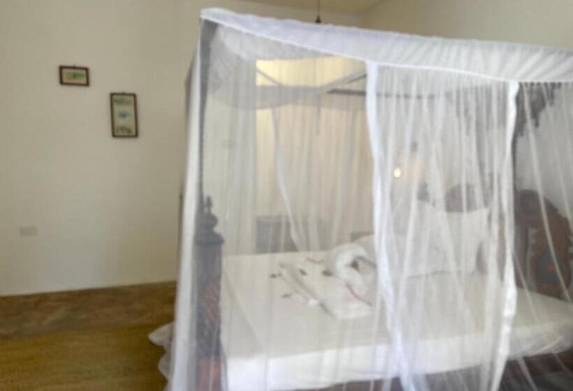 스탠다드 룸, Coco Beach