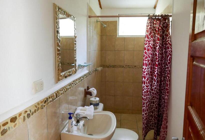 חדר סטנדרט, El Pacifico