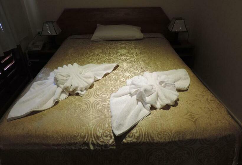 اتاق سوپریور یک تخته, Domingo Savio