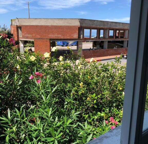 חדר סטנדרט, Gaudí