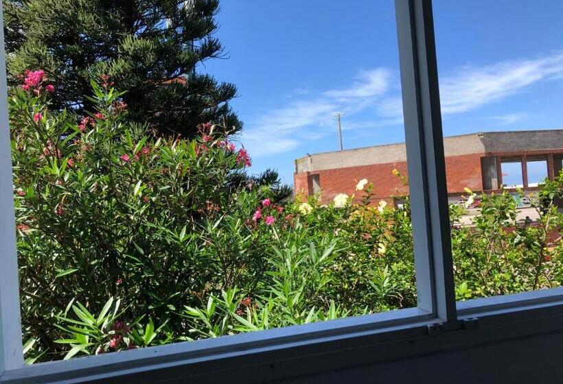 חדר סטנדרט, Gaudí