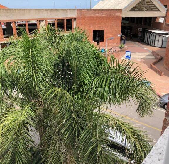 חדר סטנדרט לארבעה, Gaudí