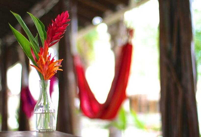 스탠다드 룸, Santa Catalina Panamá