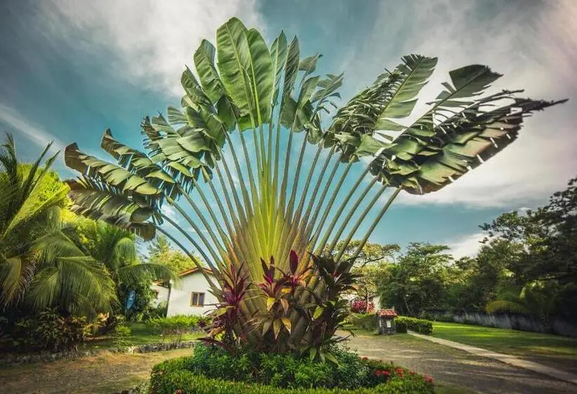 デラックスルーム, Santa Catalina Panamá