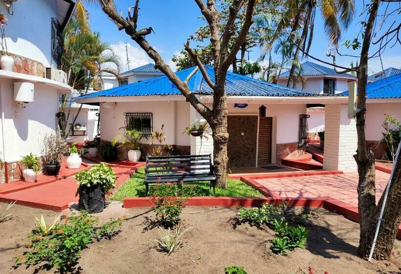 חדר סטנדרט יחיד, Tilapia