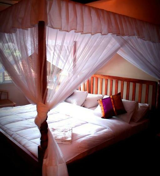 חדר סטנדרט, Tilapia