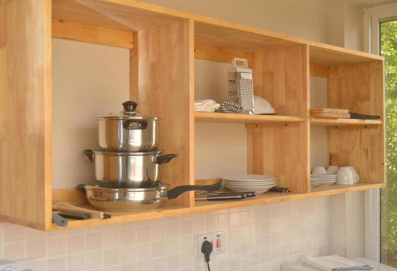 Deluxe Studio, Triniti Airport