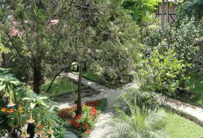 اتاق استاندارد, Utz Jay