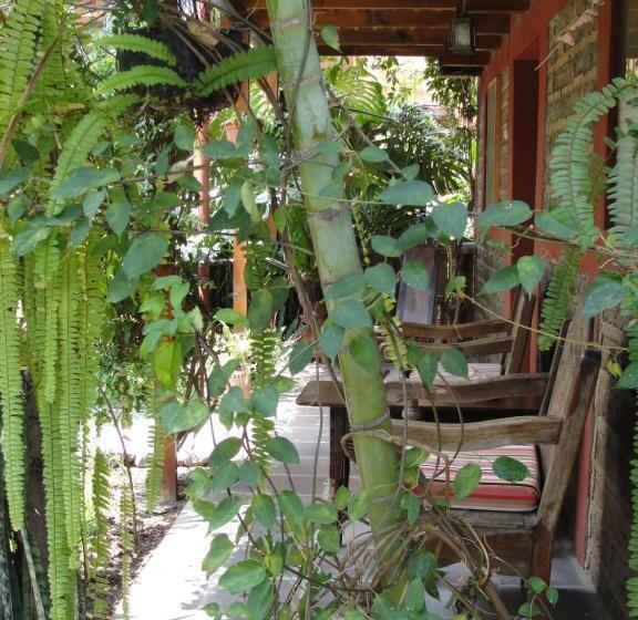 اتاق سوپریور, Utz Jay