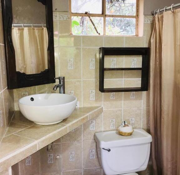 اتاق سوپریور, Utz Jay