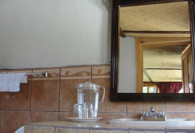 اتاق سوپریور سه تخته, Utz Jay