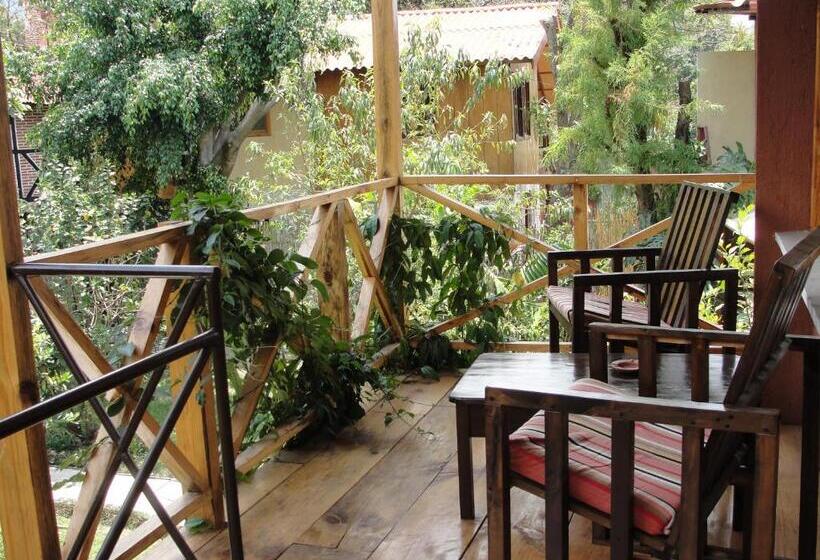 اتاق لوکس, Utz Jay