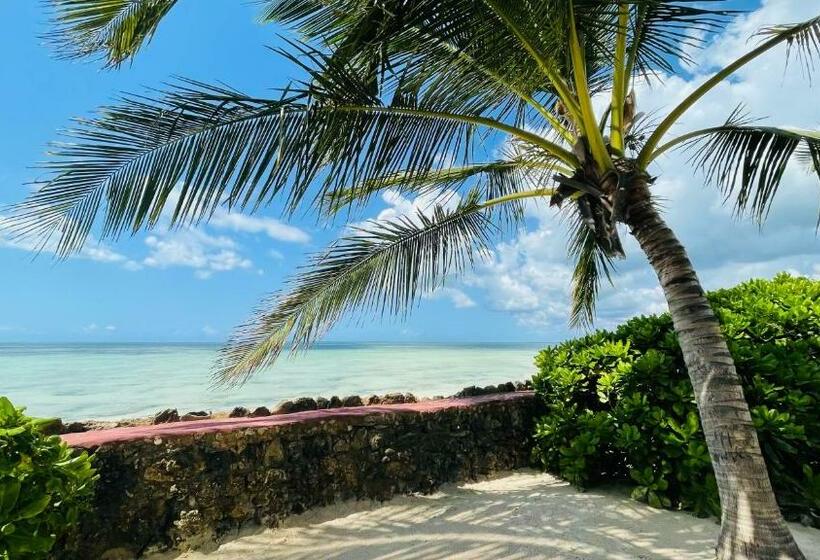 جناح جونيور, Palumboreef Beach Resort