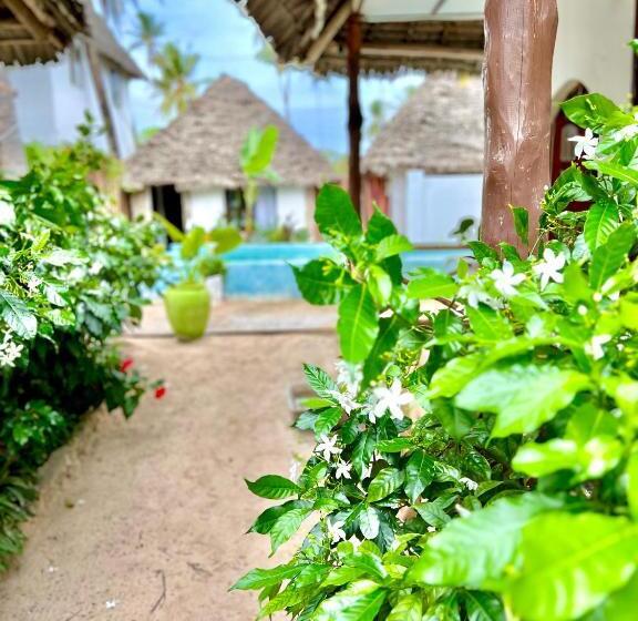 Номер Стандарт с Балконом Вид на Сад, Jambiani White Sands Bungalows