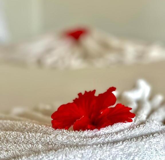 Номер Deluxe Вид на Море с Балконом, Jambiani White Sands Bungalows