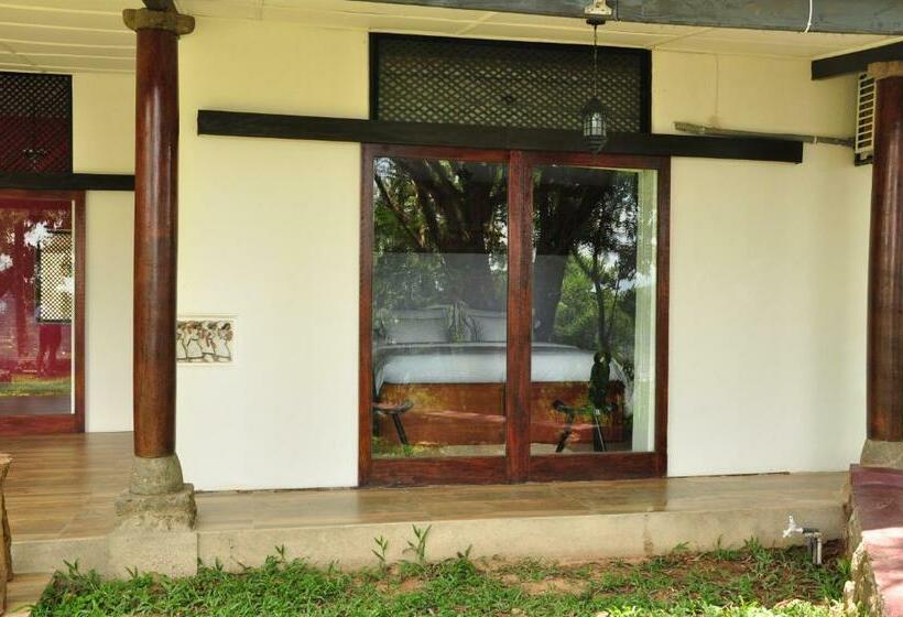 חדר בסיסי, The Buena Vista Kandy