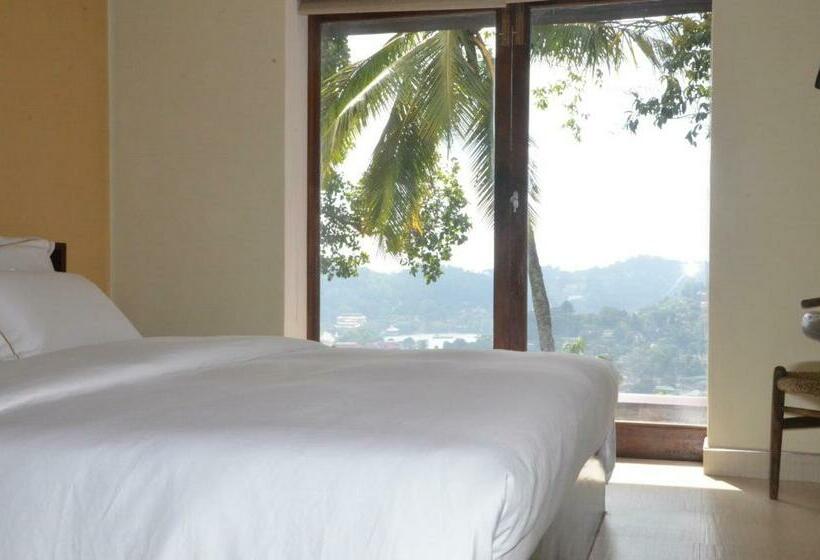 חדר סטנדרט עם מיטת קינג, The Buena Vista Kandy