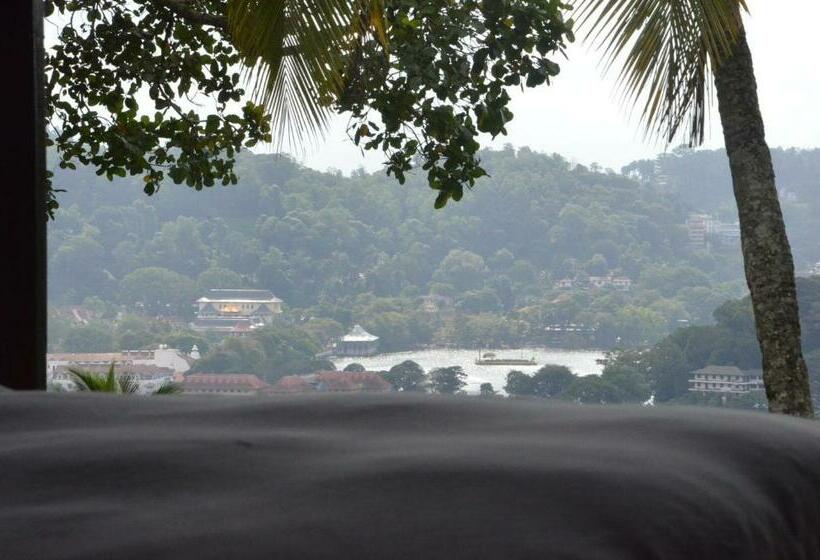 חדר סטנדרט עם מיטת קינג, The Buena Vista Kandy