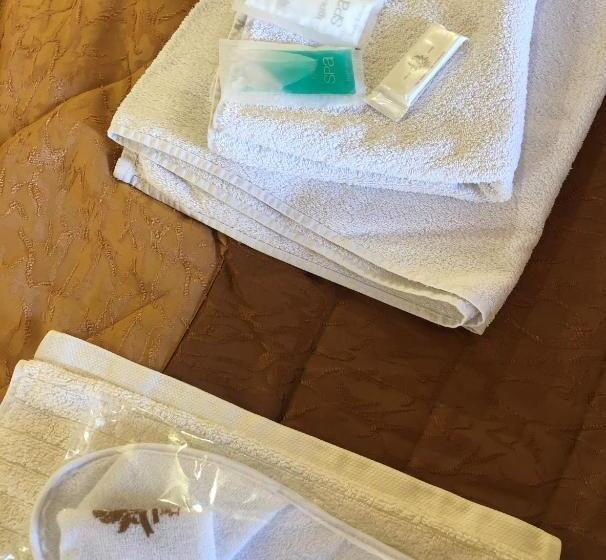 اتاق اکونومی, Boutique Tovmed