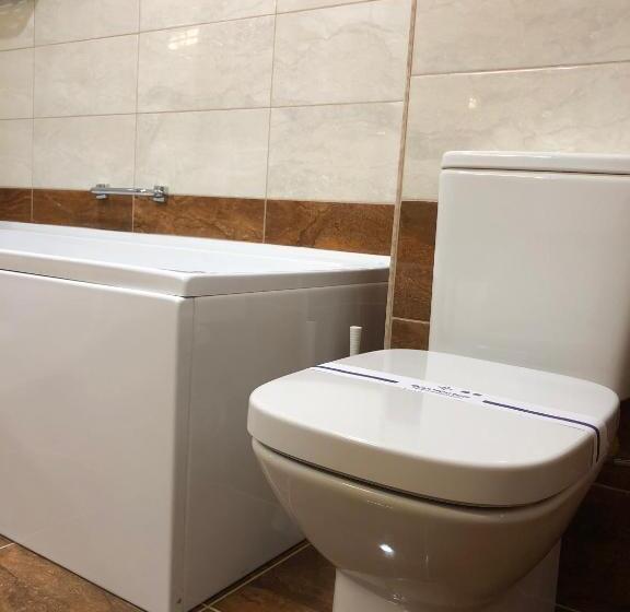 آپارتمان 1 خوابه با بالکن, Boutique Tovmed