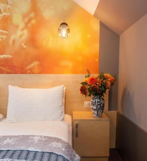 غرفة قياسية, Etude