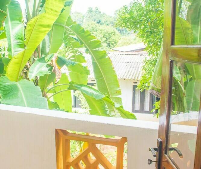 غرفة ديلوكس, Gem Land