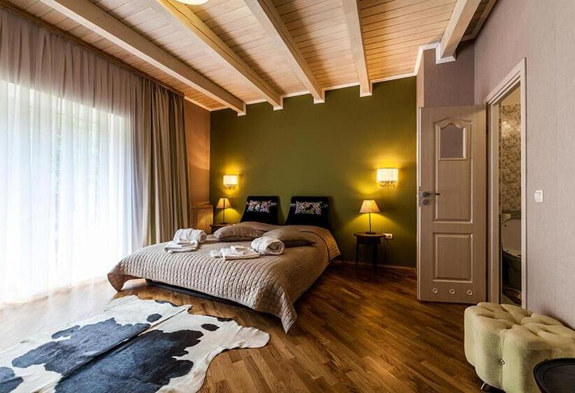 شقة غرفة واحدة, Olga Deluxe